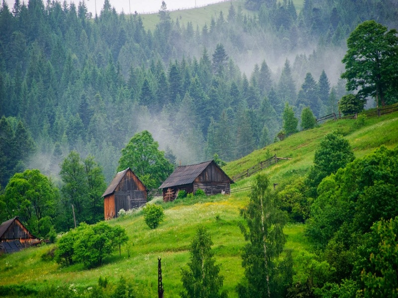 3 День. Вівторок